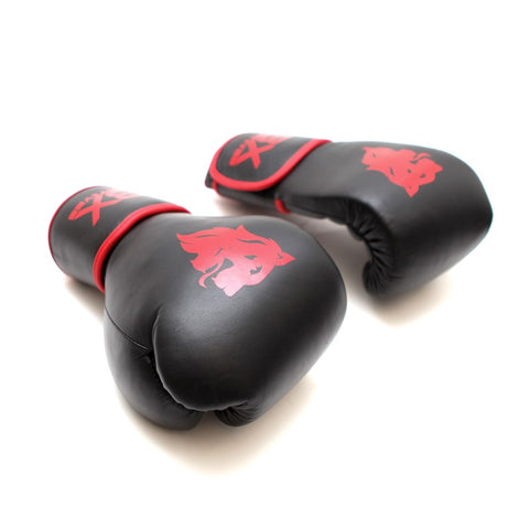Men and women training sandbags Muay Thai fighting boxing glovesBoxing  Gloves for Men Anime Red Cl  Shopee Philippines